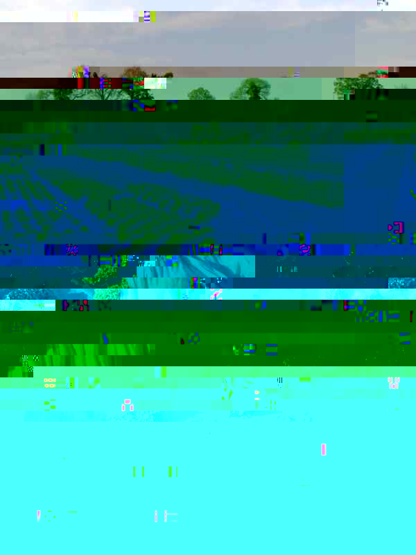 salades 28 04 2014.jpg