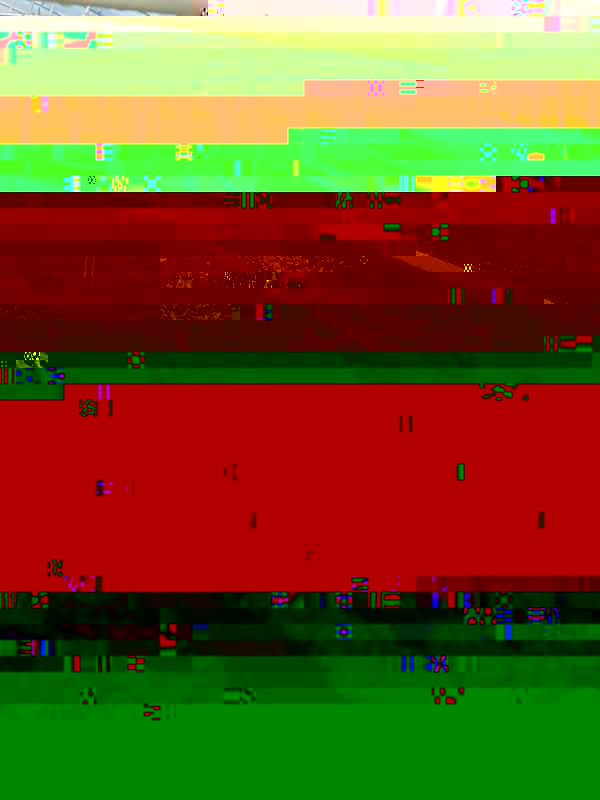 salades décembre 2013.jpg