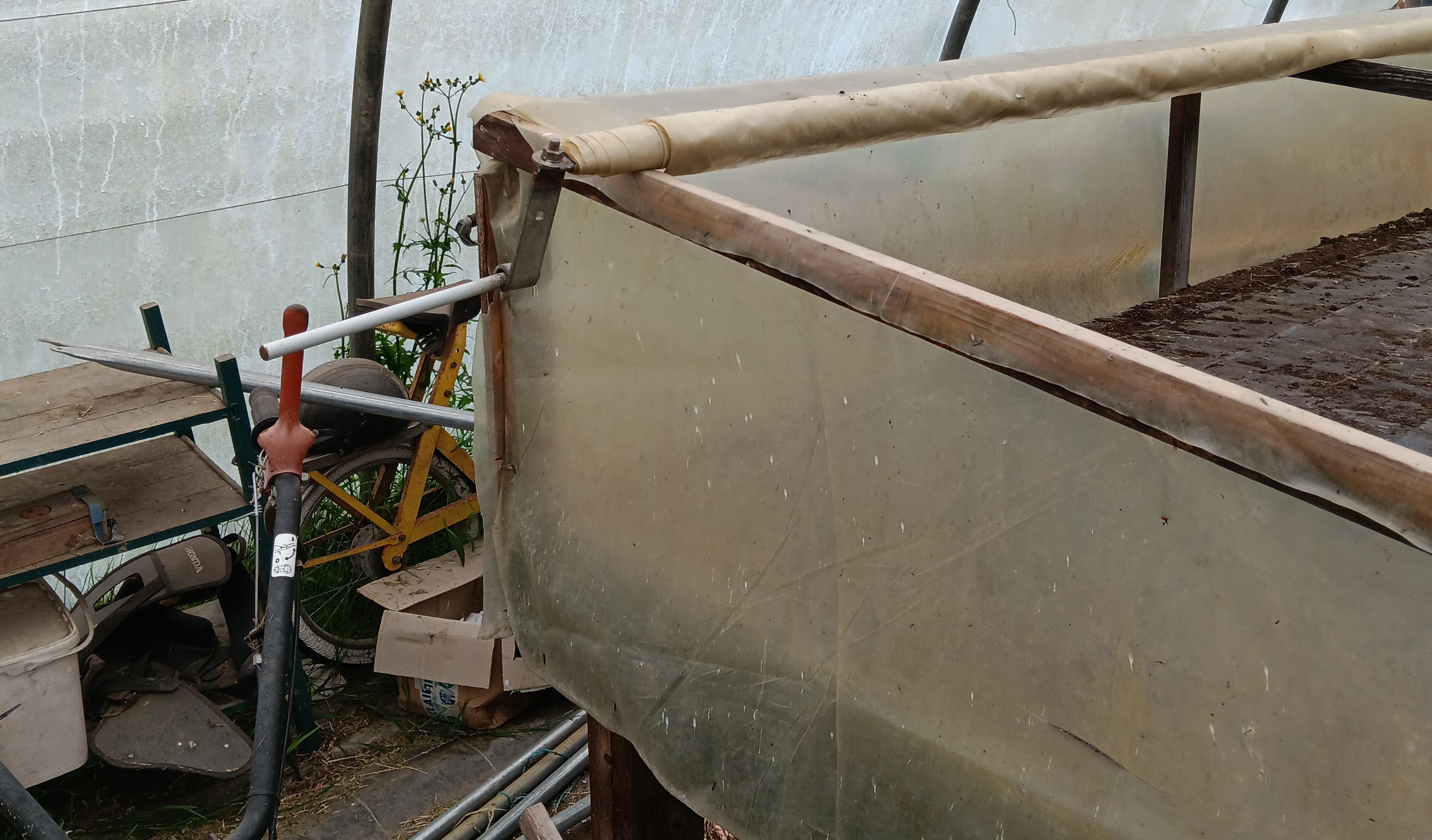 Focus serre pepi.jpg