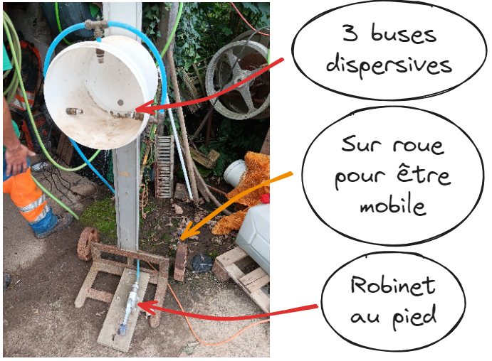 Focus lave botte legume.png