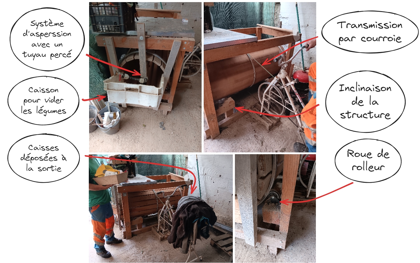 Focus laveuse legume racine velo.jpg