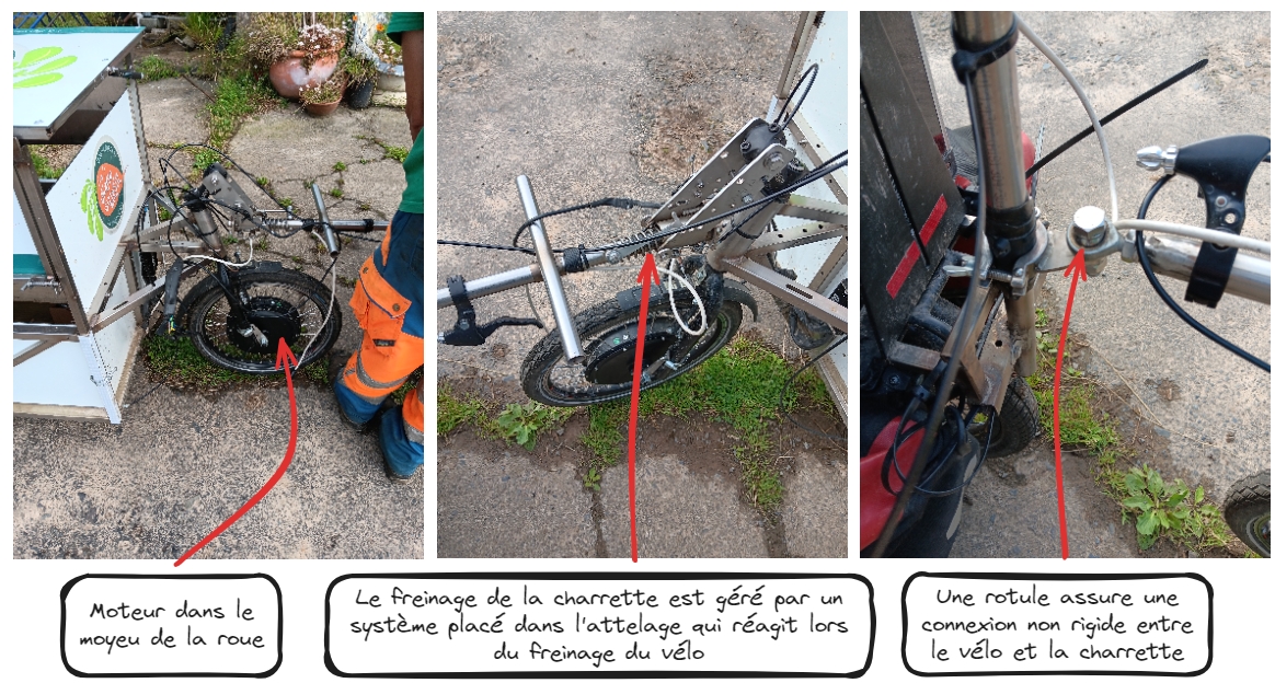 Focus charette velo 2.jpg