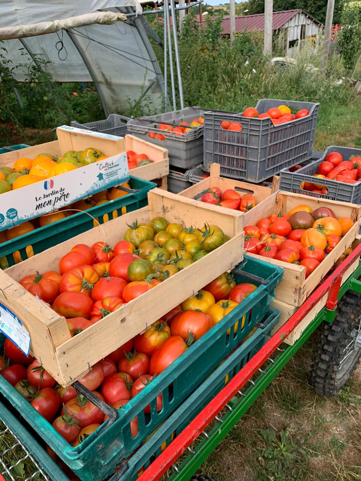 Zinzin chargé dans les champs 2