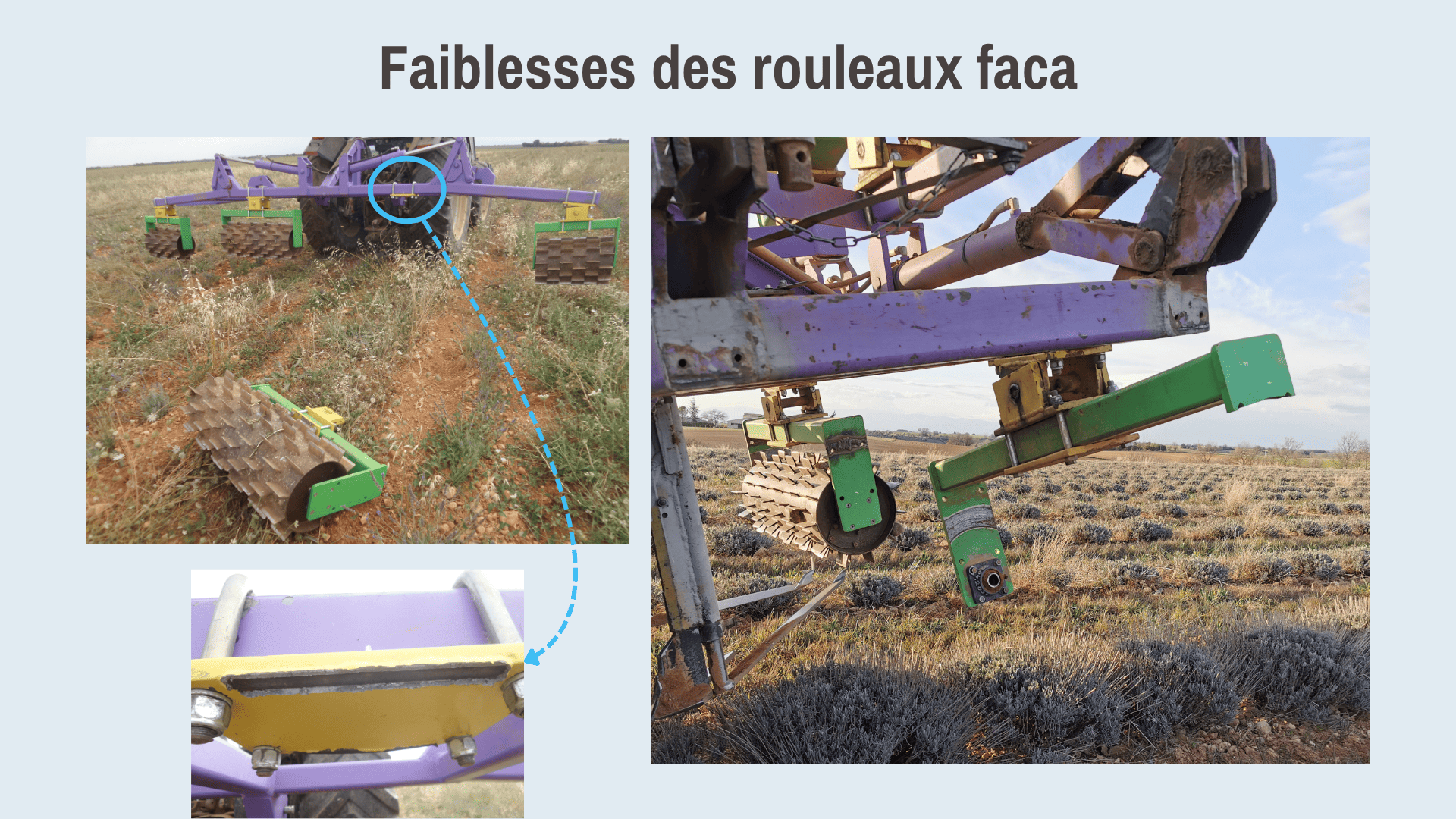 Figure 10. Photo : Laurent Bouvin