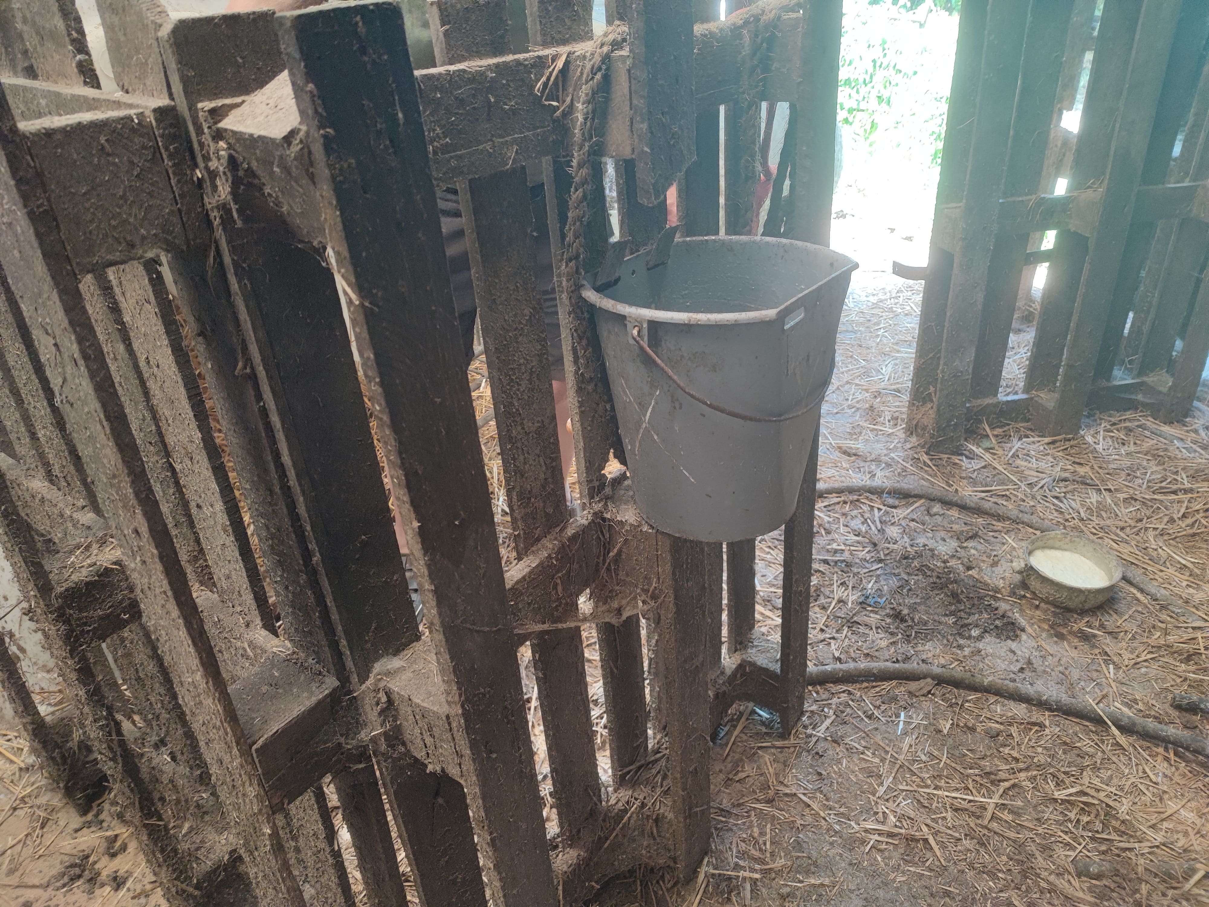 Photos de l'aménagement de la niche à veau.